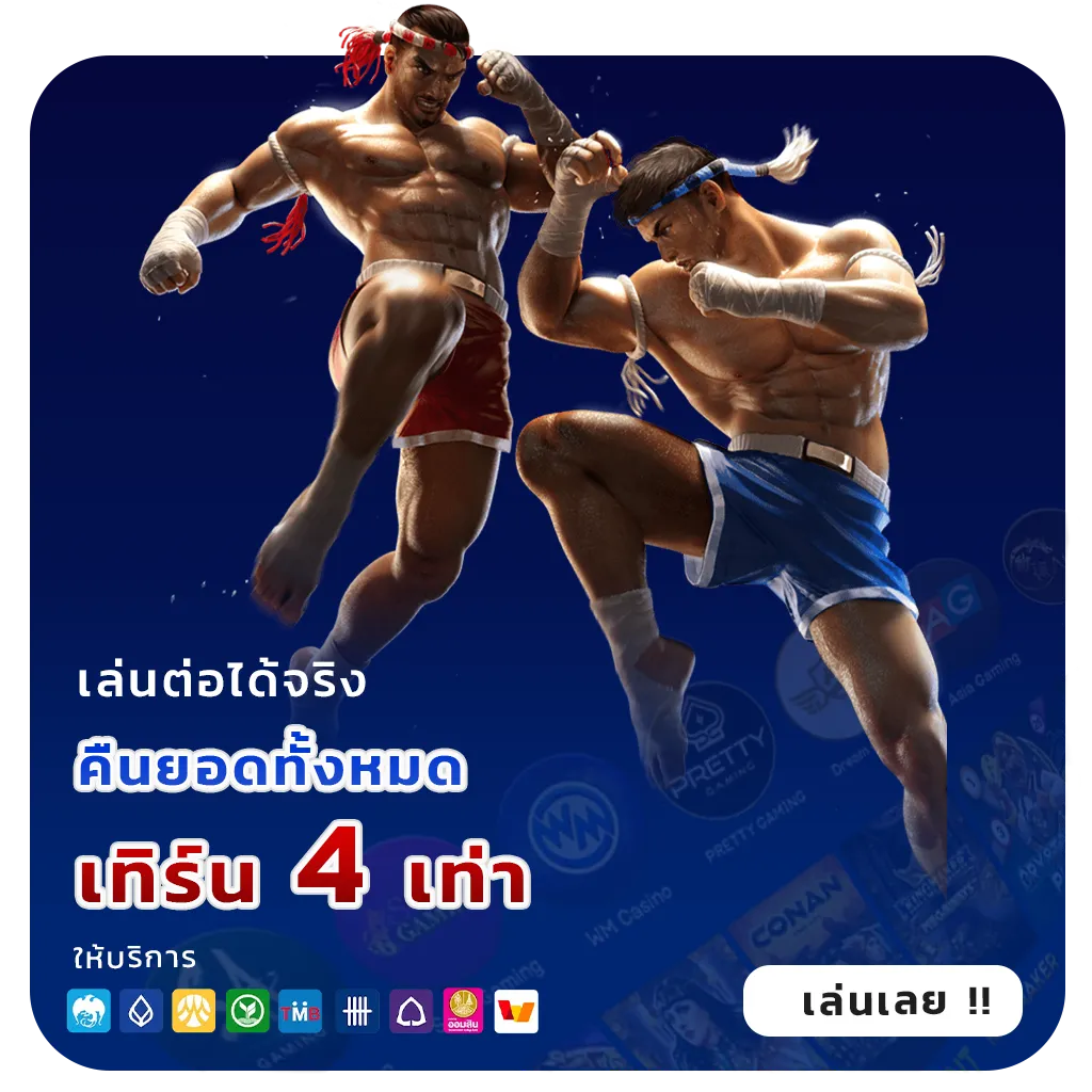 new 65 ครบวงจร